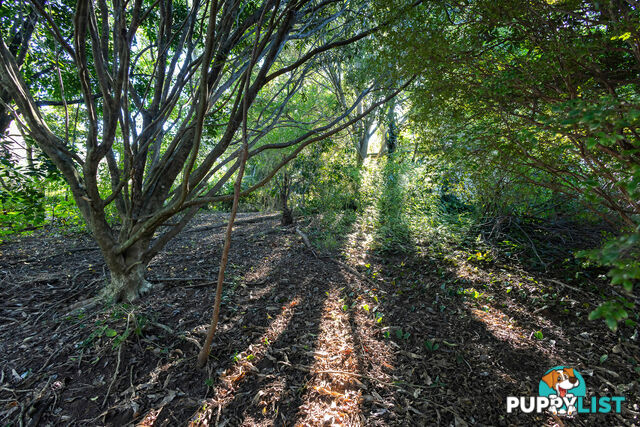 182 Panorama Dr ROSEMOUNT QLD 4560