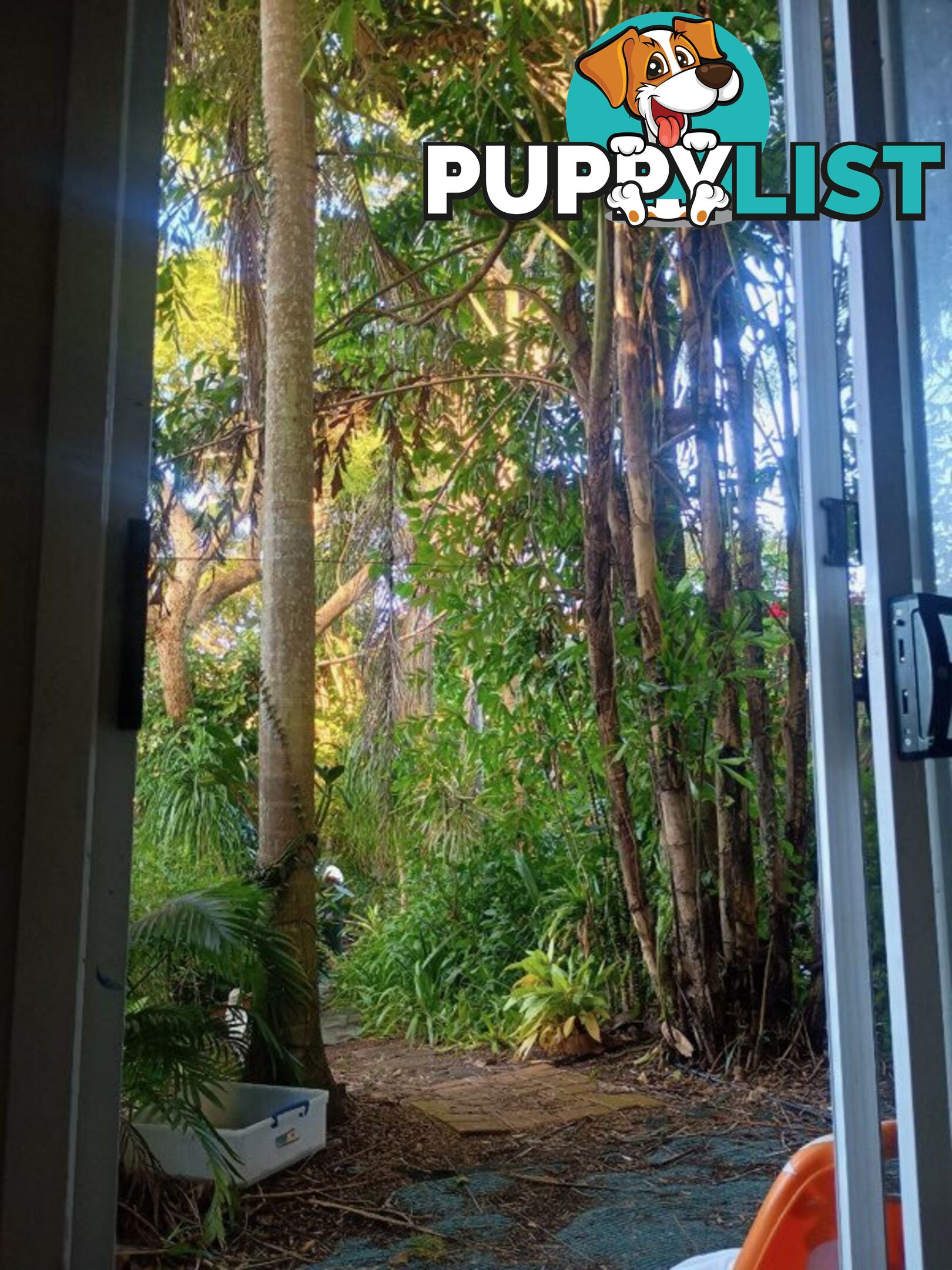 182 Panorama Dr ROSEMOUNT QLD 4560