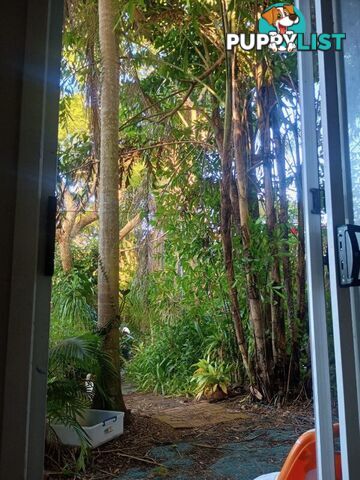 182 Panorama Dr ROSEMOUNT QLD 4560