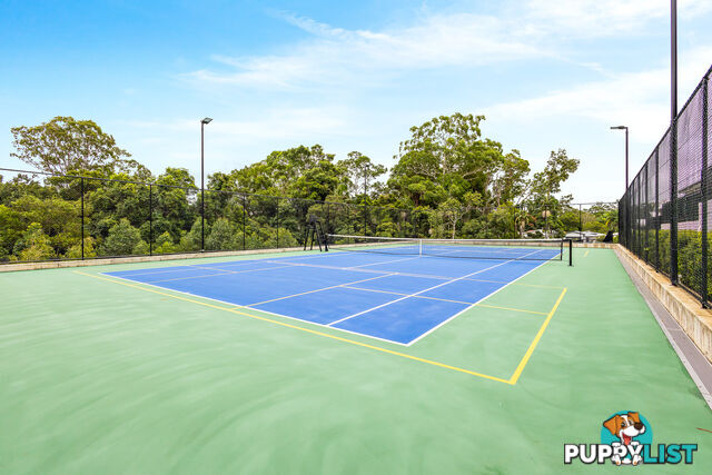 88/38 Landershute Rd PALMWOODS QLD 4555