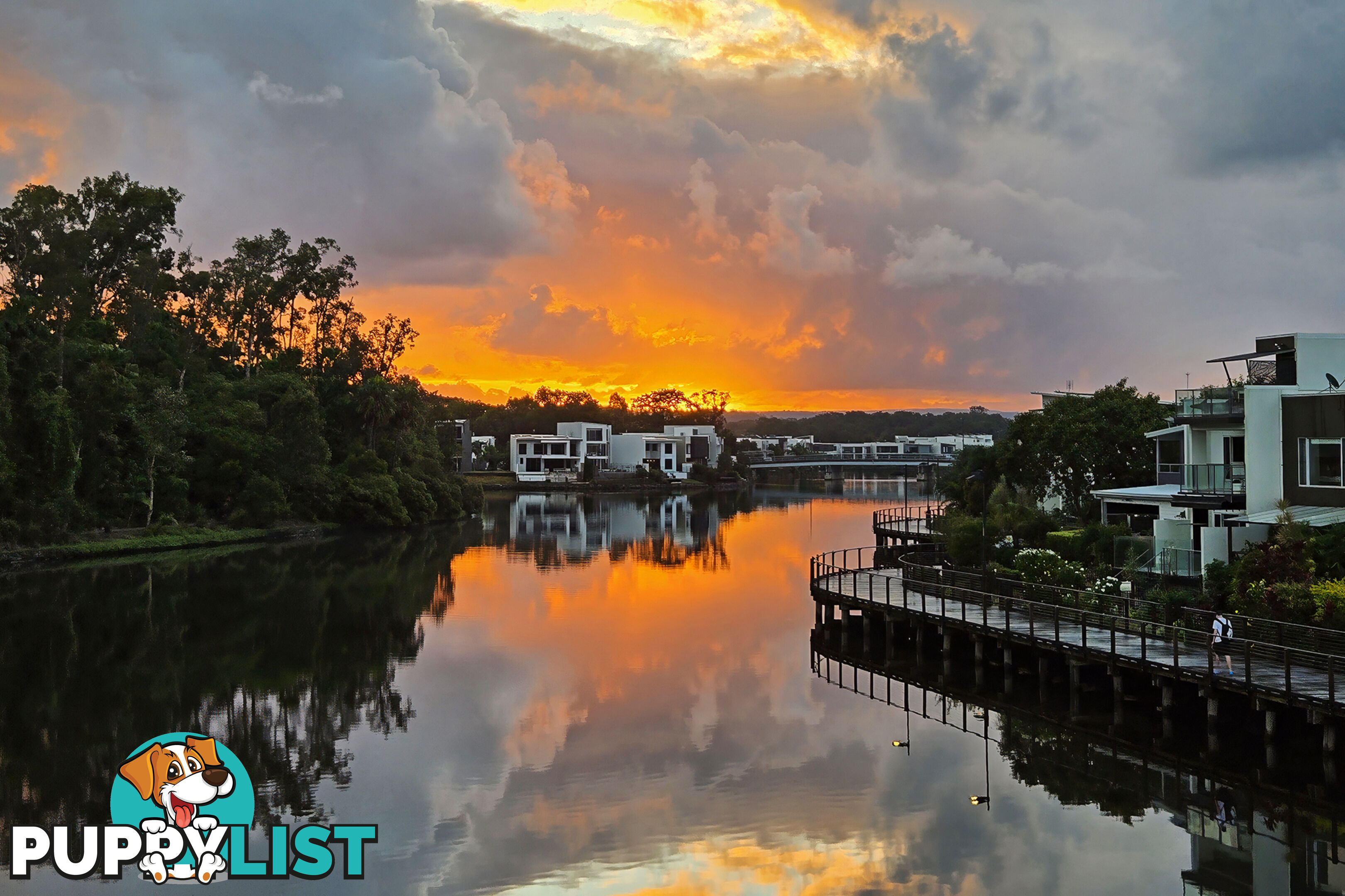 16 Sarina Pl MAROOCHYDORE QLD 4558