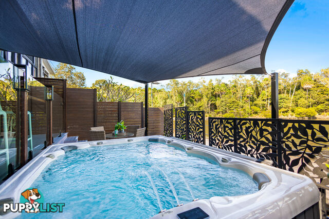 16 Sarina Pl MAROOCHYDORE QLD 4558