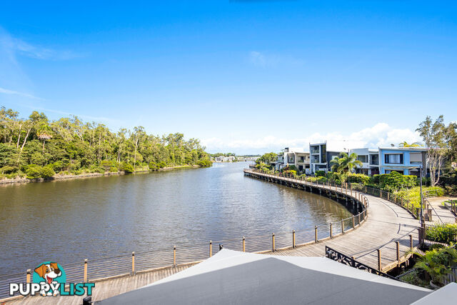 16 Sarina Pl MAROOCHYDORE QLD 4558