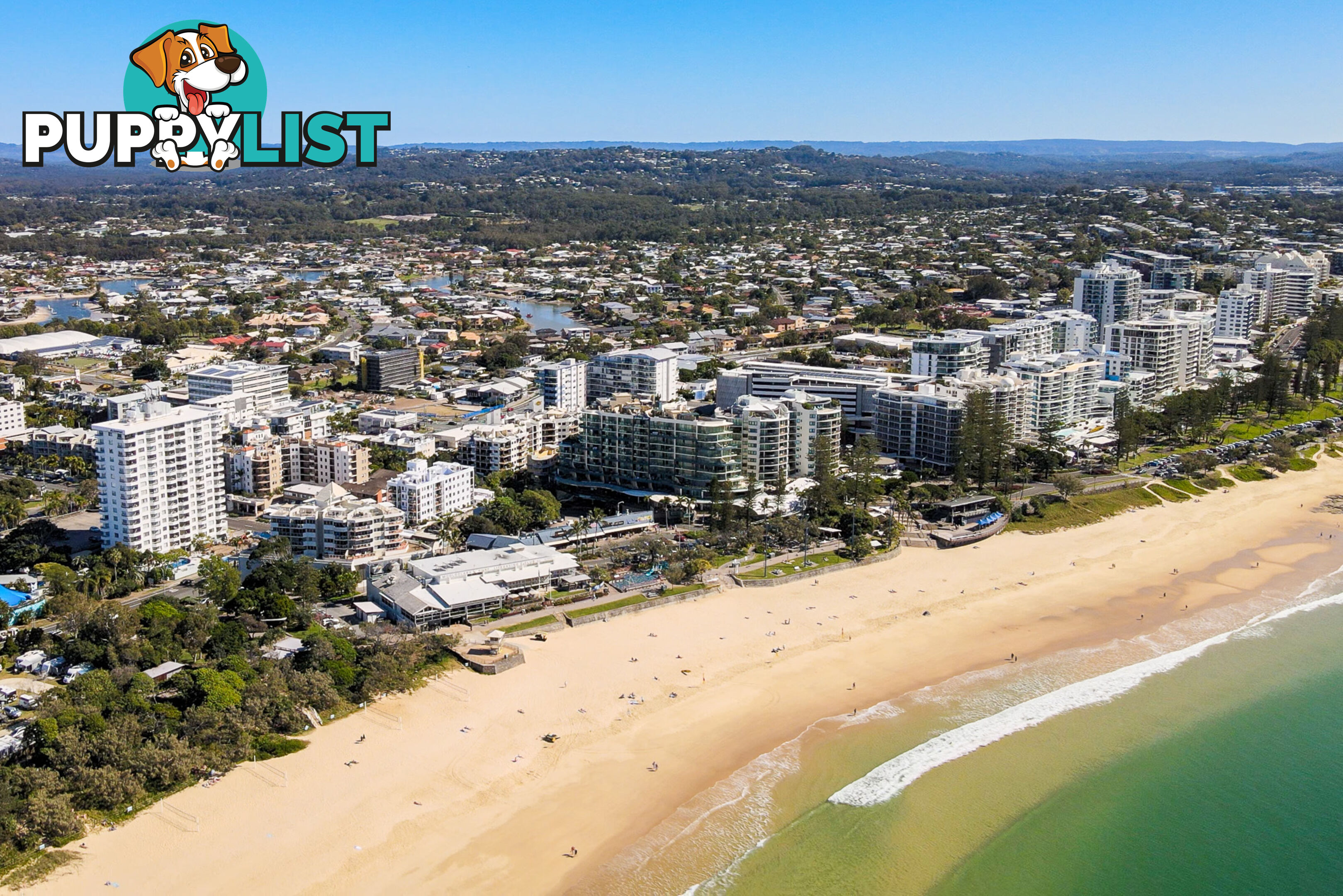 2/51 Edward St ALEXANDRA HEADLAND QLD 4572