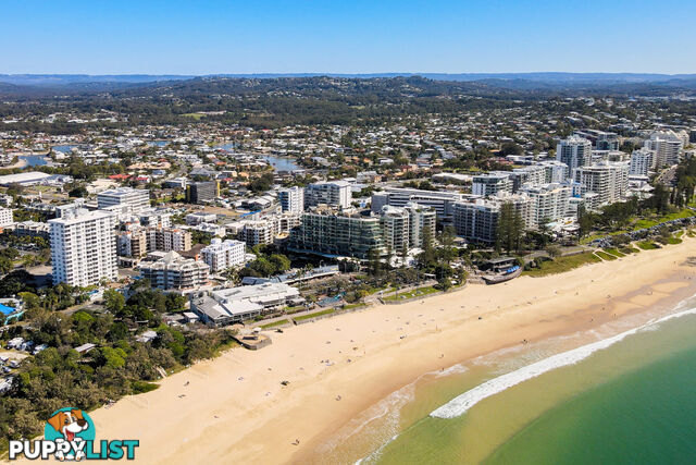 2/51 Edward St ALEXANDRA HEADLAND QLD 4572