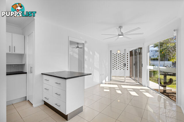 2/51 Edward St ALEXANDRA HEADLAND QLD 4572