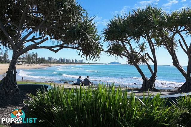 2/51 Edward St ALEXANDRA HEADLAND QLD 4572