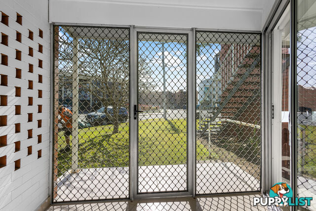 2/51 Edward St ALEXANDRA HEADLAND QLD 4572