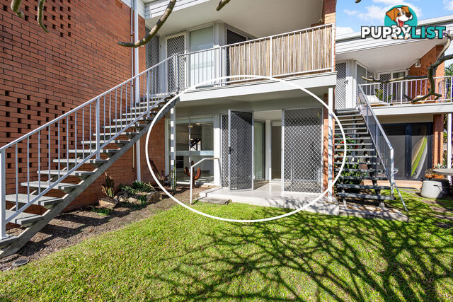 2/51 Edward St ALEXANDRA HEADLAND QLD 4572