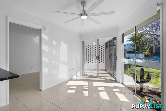 2/51 Edward St ALEXANDRA HEADLAND QLD 4572