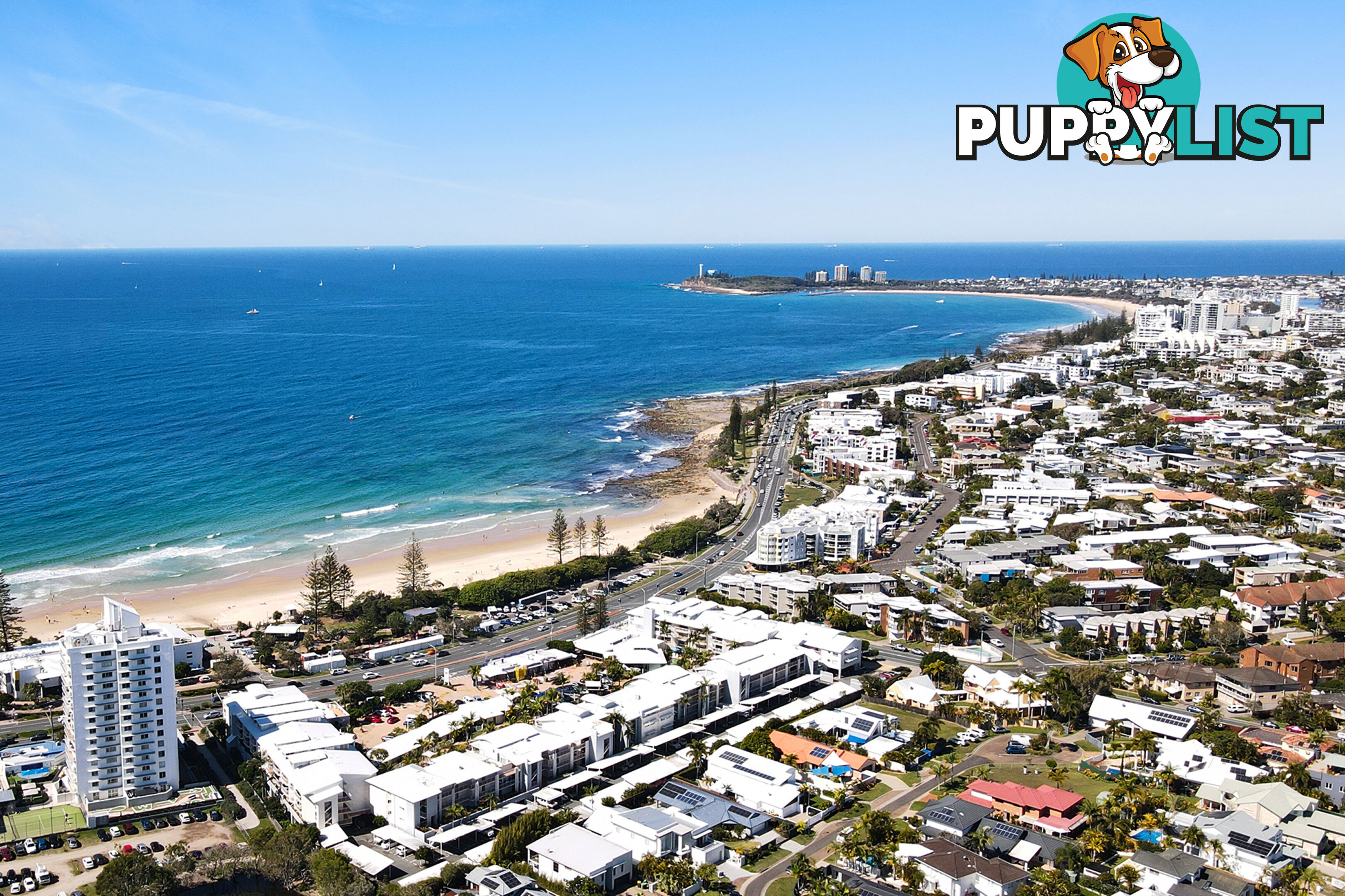 2/51 Edward St ALEXANDRA HEADLAND QLD 4572