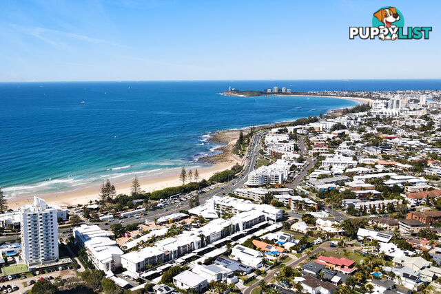 2/51 Edward St ALEXANDRA HEADLAND QLD 4572