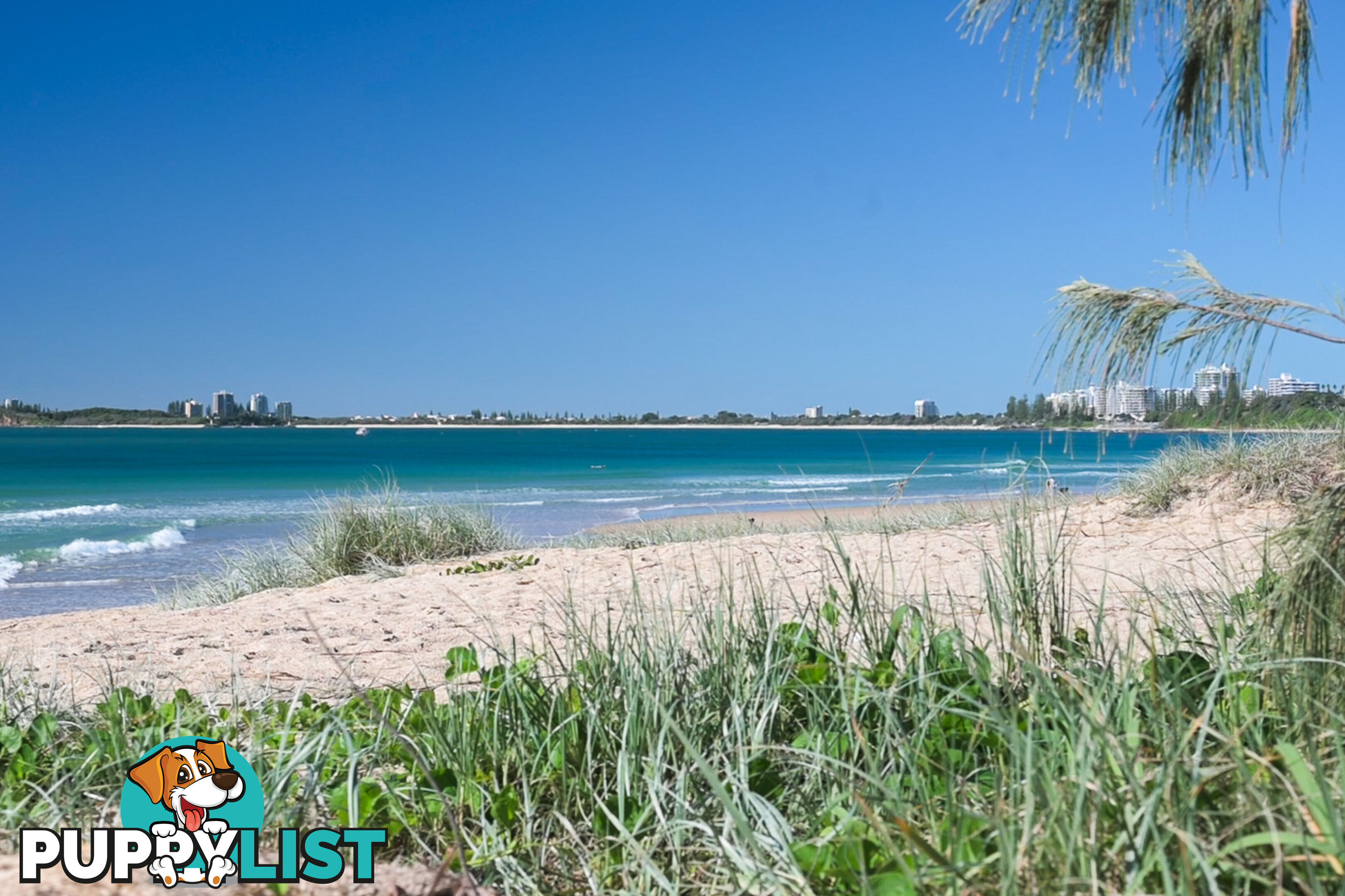 2/51 Edward St ALEXANDRA HEADLAND QLD 4572