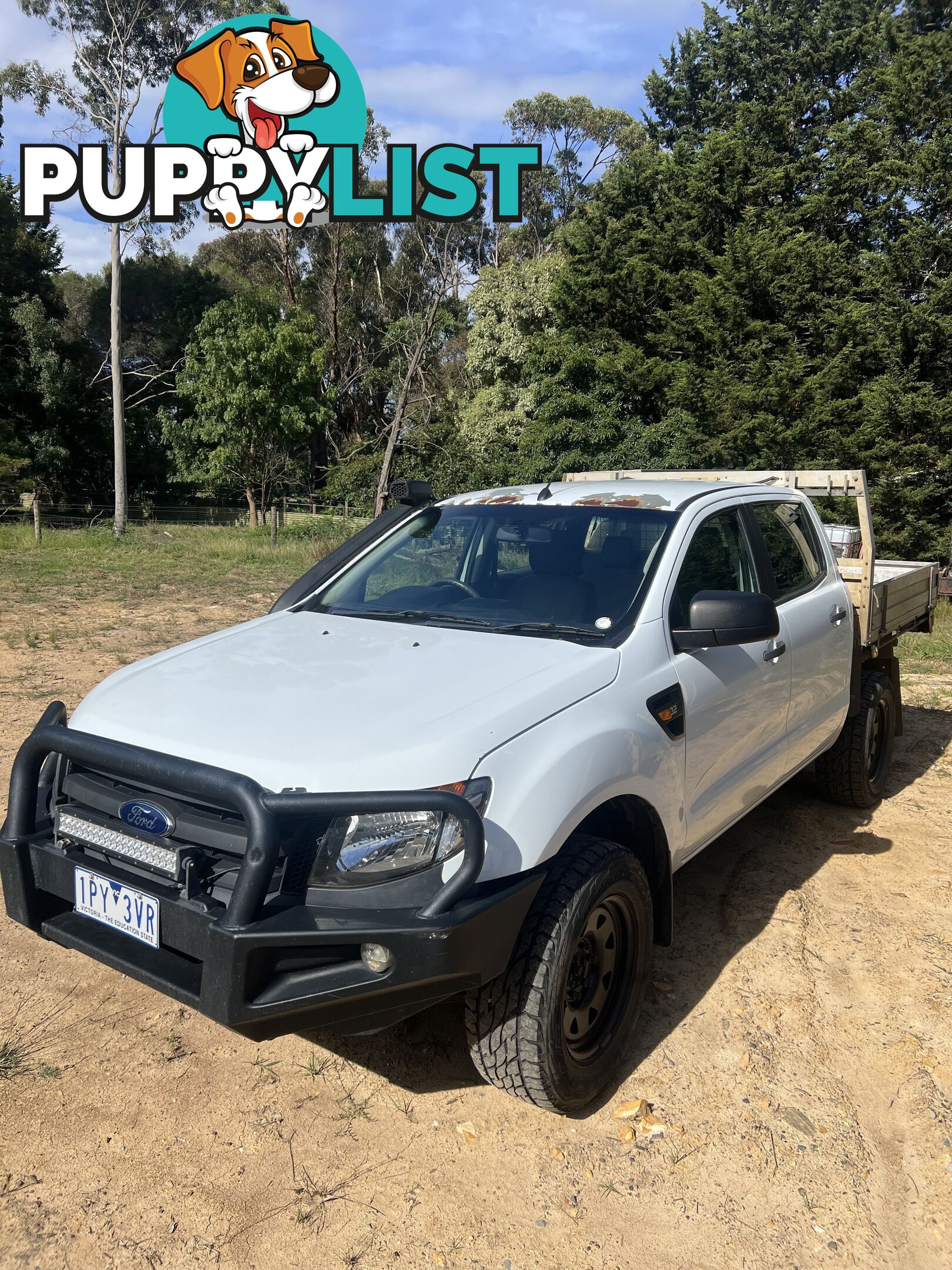 2014 Ford Ranger XL 3.2 Ute Automatic