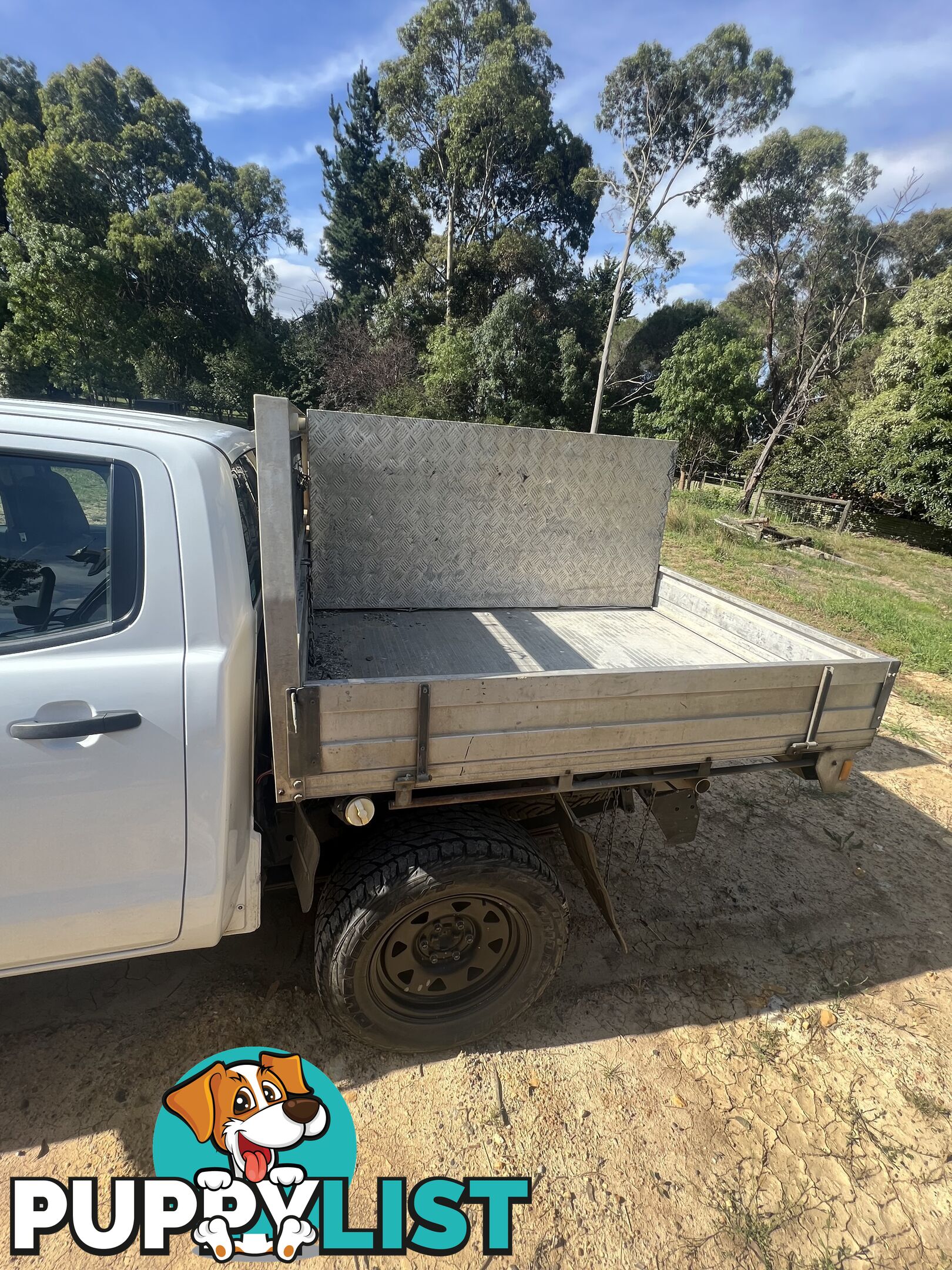 2014 Ford Ranger XL 3.2 Ute Automatic