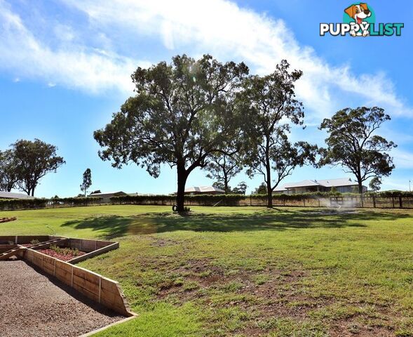 9 Jackaroo Close MUSWELLBROOK NSW 2333