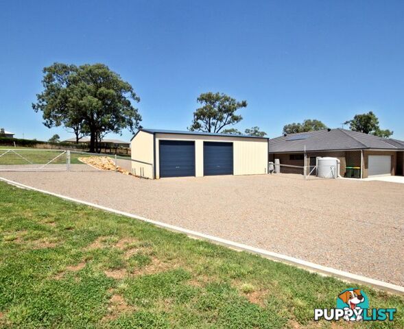 9 Jackaroo Close MUSWELLBROOK NSW 2333