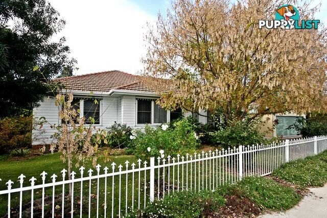 1 Haydon Street MUSWELLBROOK NSW 2333