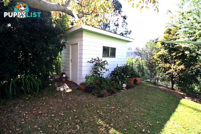 1 Haydon Street MUSWELLBROOK NSW 2333