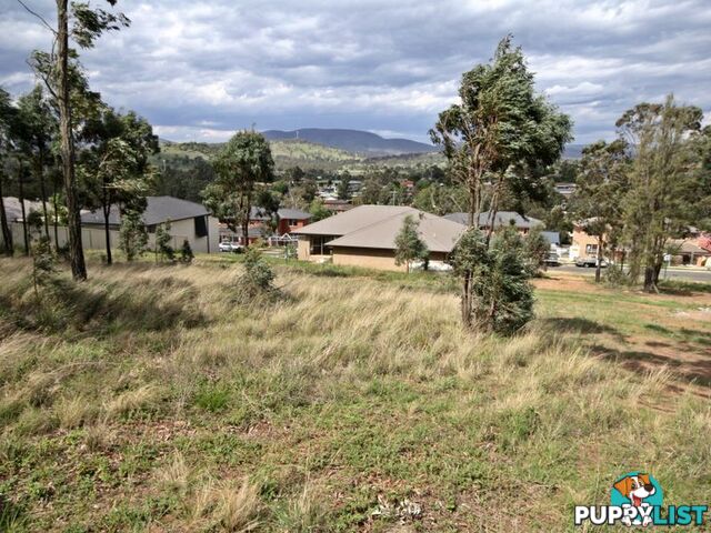 29 Lou Fisher Place MUSWELLBROOK NSW 2333