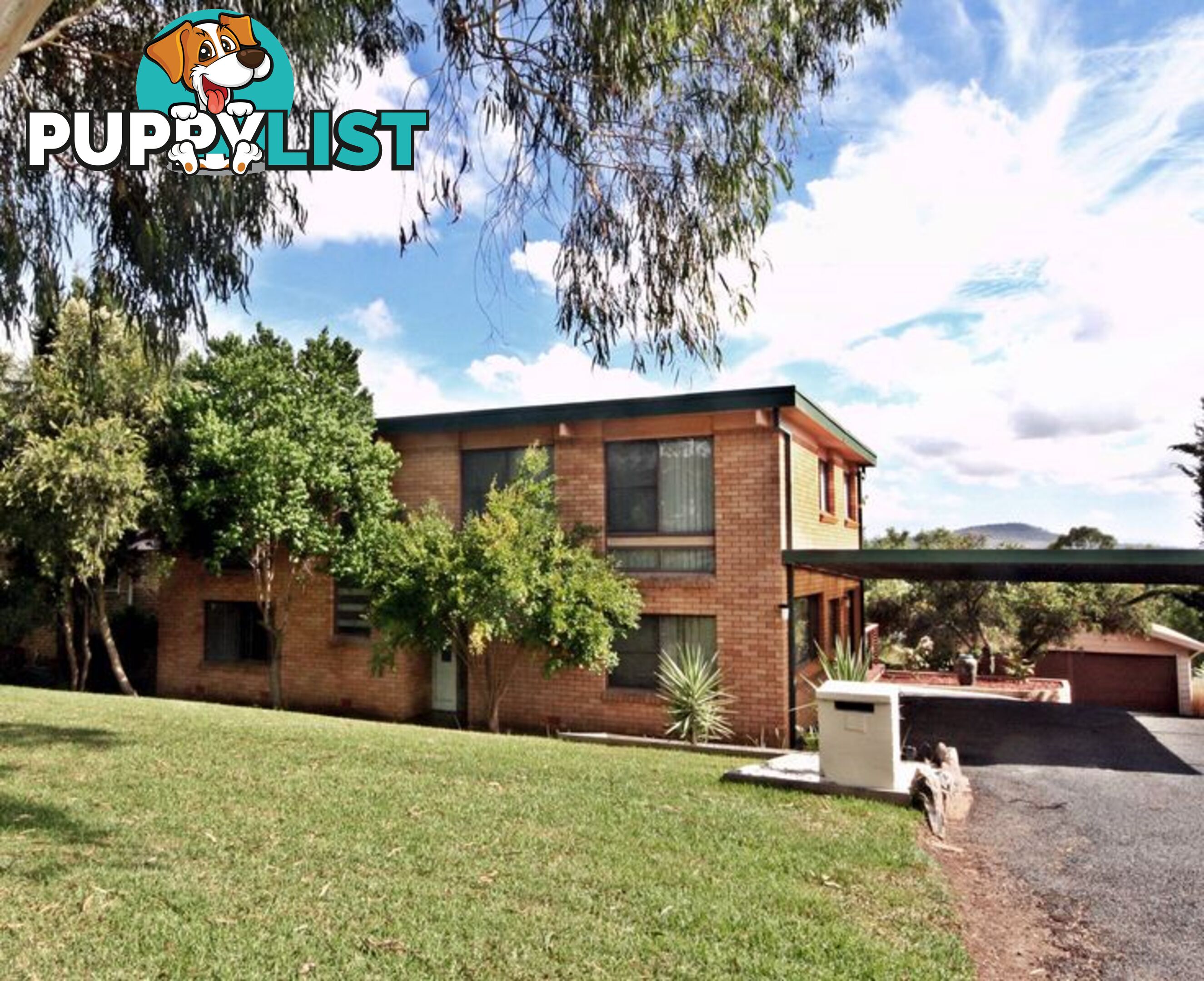 52 Cousins Street MUSWELLBROOK NSW 2333