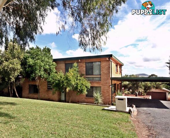 52 Cousins Street MUSWELLBROOK NSW 2333