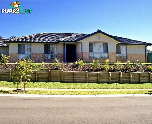 61 Bimbadeen Drive MUSWELLBROOK NSW 2333