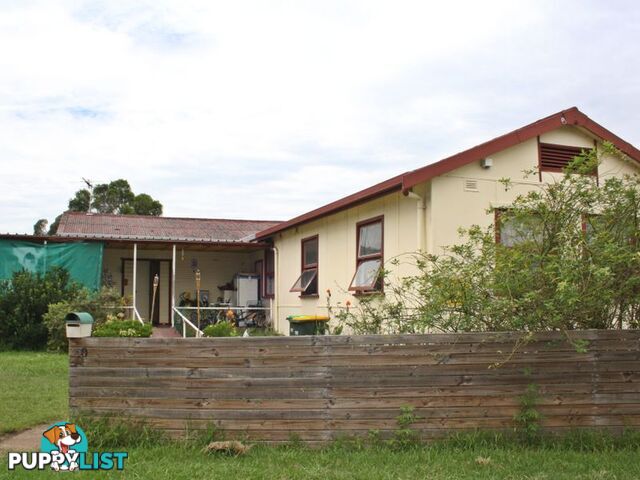 50 Mitchell Street MUSWELLBROOK NSW 2333