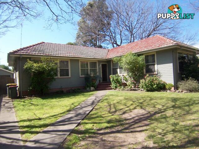 16 Maitland Street MUSWELLBROOK NSW 2333