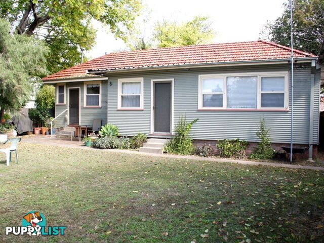 16 Maitland Street MUSWELLBROOK NSW 2333