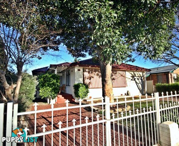 82 Sydney Street MUSWELLBROOK NSW 2333