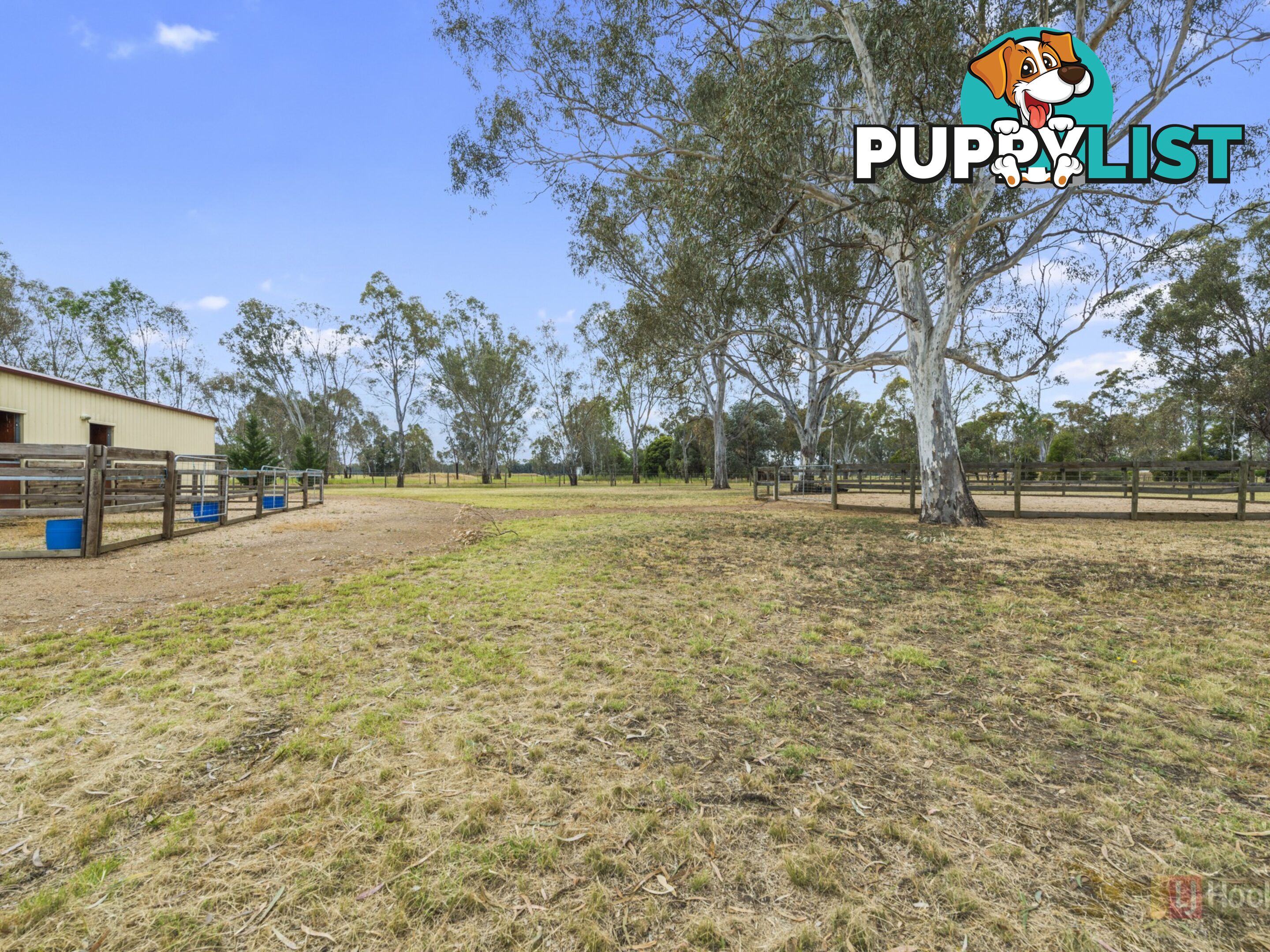 309 Steel Road BENALLA VIC 3672