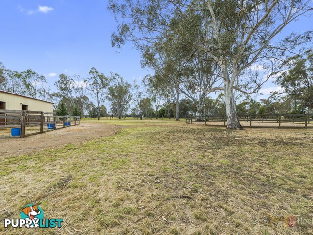 309 Steel Road BENALLA VIC 3672