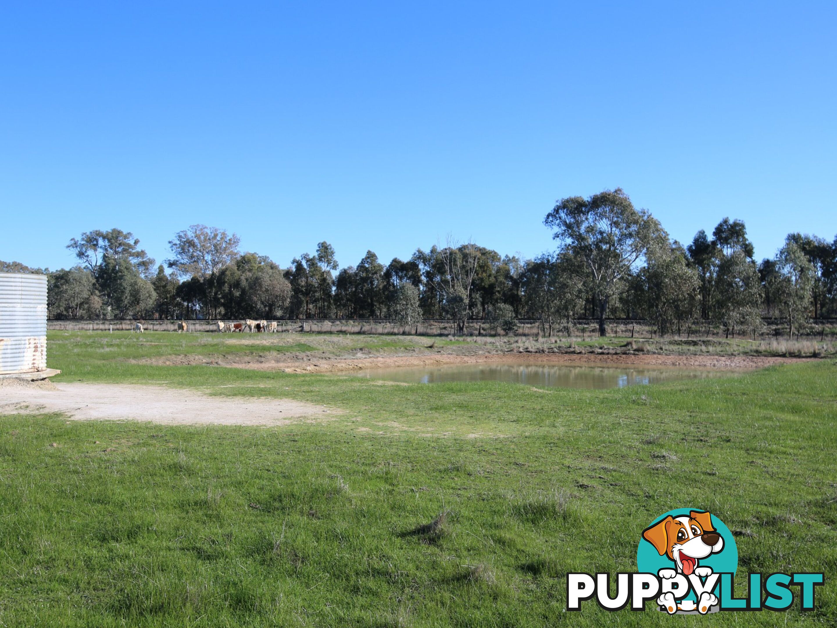 Lot 33A-34 Baddaginnie - Benalla Road BENALLA VIC 3672