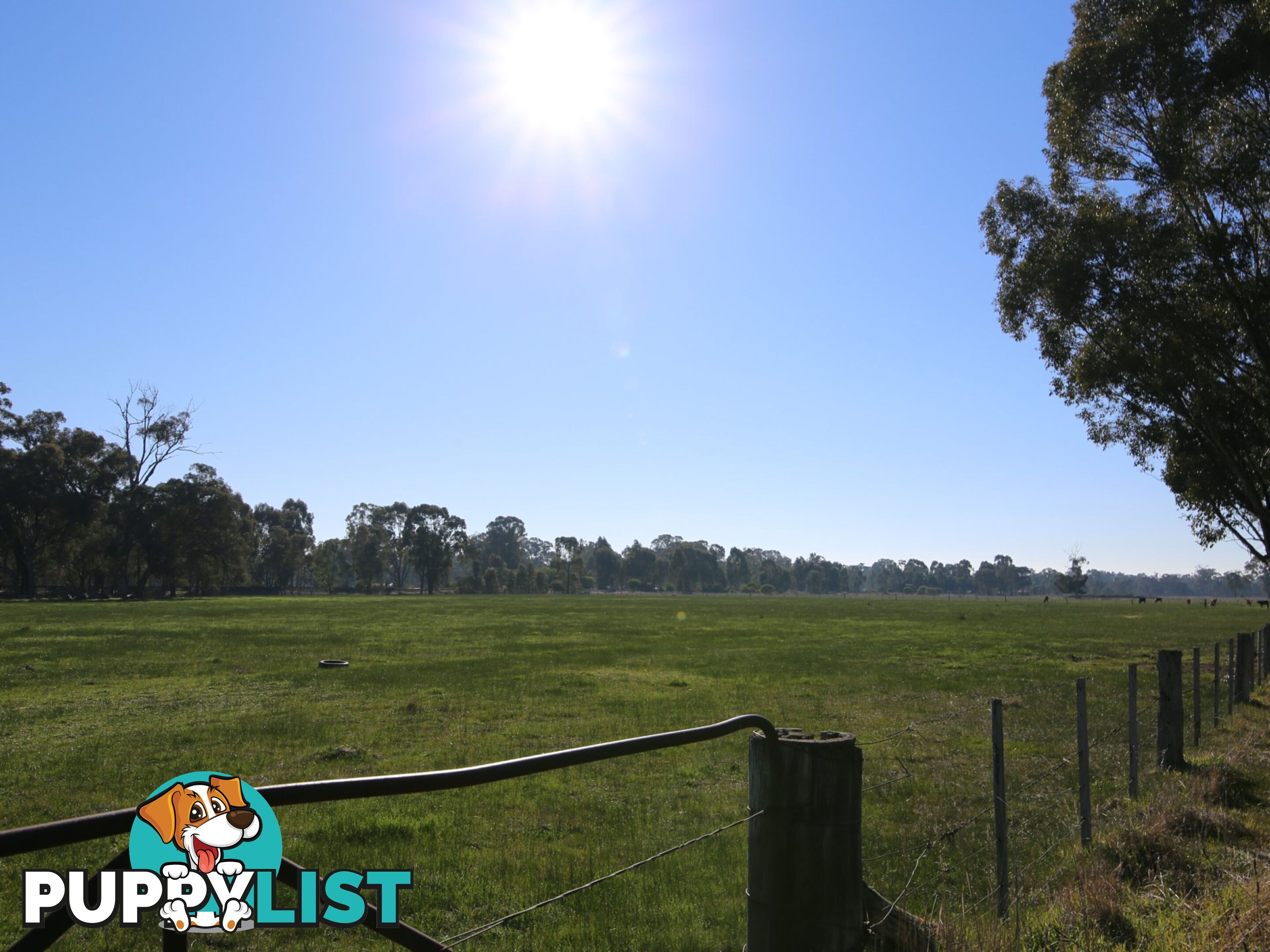 Lot 33A-34 Baddaginnie - Benalla Road BENALLA VIC 3672