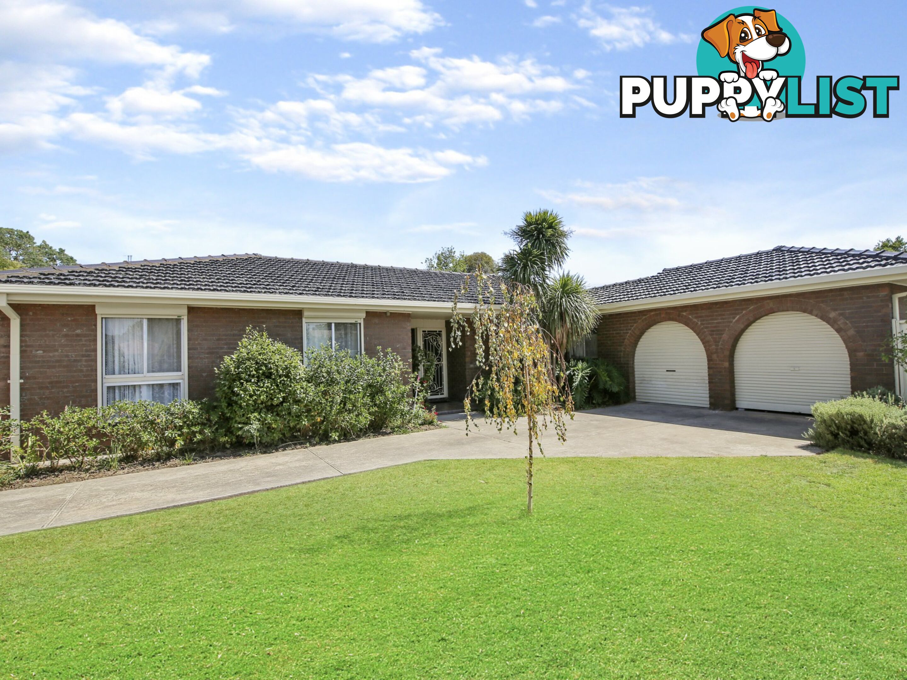 3 Hakea Court BENALLA VIC 3672