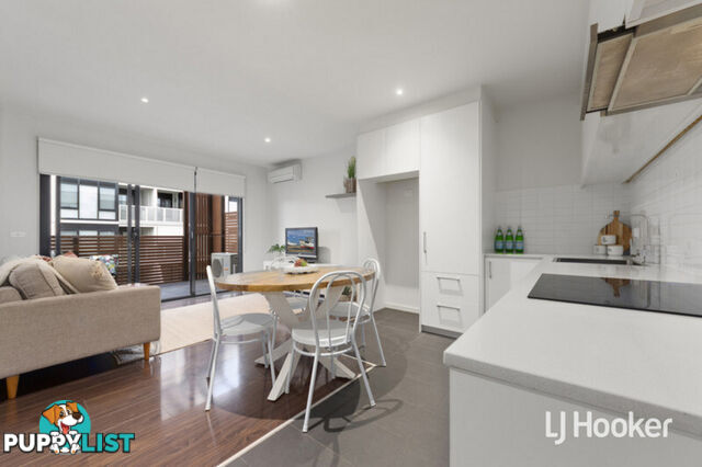 203/15 Balcombe Road MENTONE VIC 3194