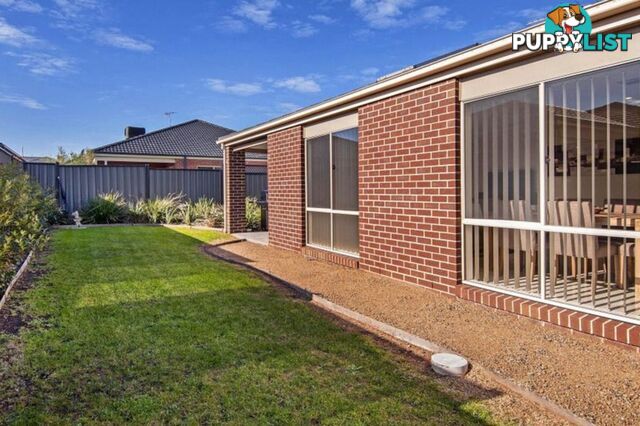 15 Bevan Court POINT COOK VIC 3030