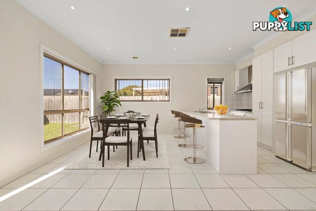 16 Red Robin Road TRUGANINA VIC 3029