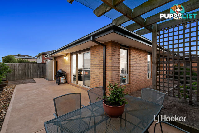 31 Arrowgrass Drive POINT COOK VIC 3030