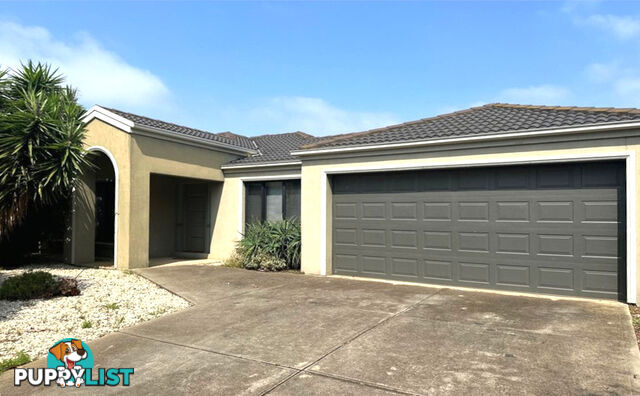 10 Needletail Close WILLIAMS LANDING VIC 3027