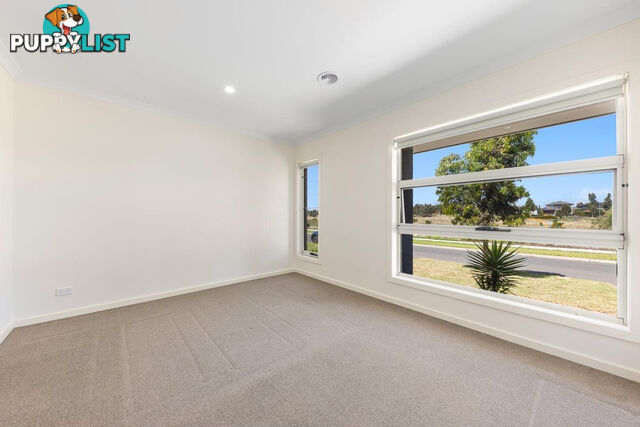 56 Homebush Street TARNEIT VIC 3029