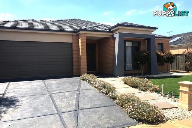 59 Florey Avenue POINT COOK VIC 3030