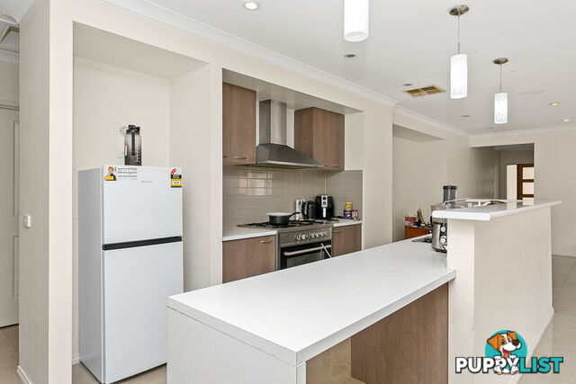 53 Australis Drive WILLIAMS LANDING VIC 3027