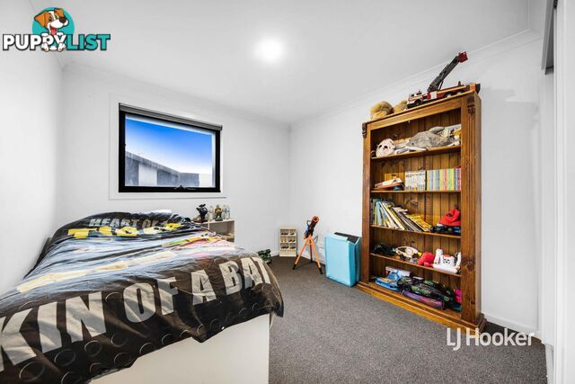 10 Patena Walk PAKENHAM VIC 3810