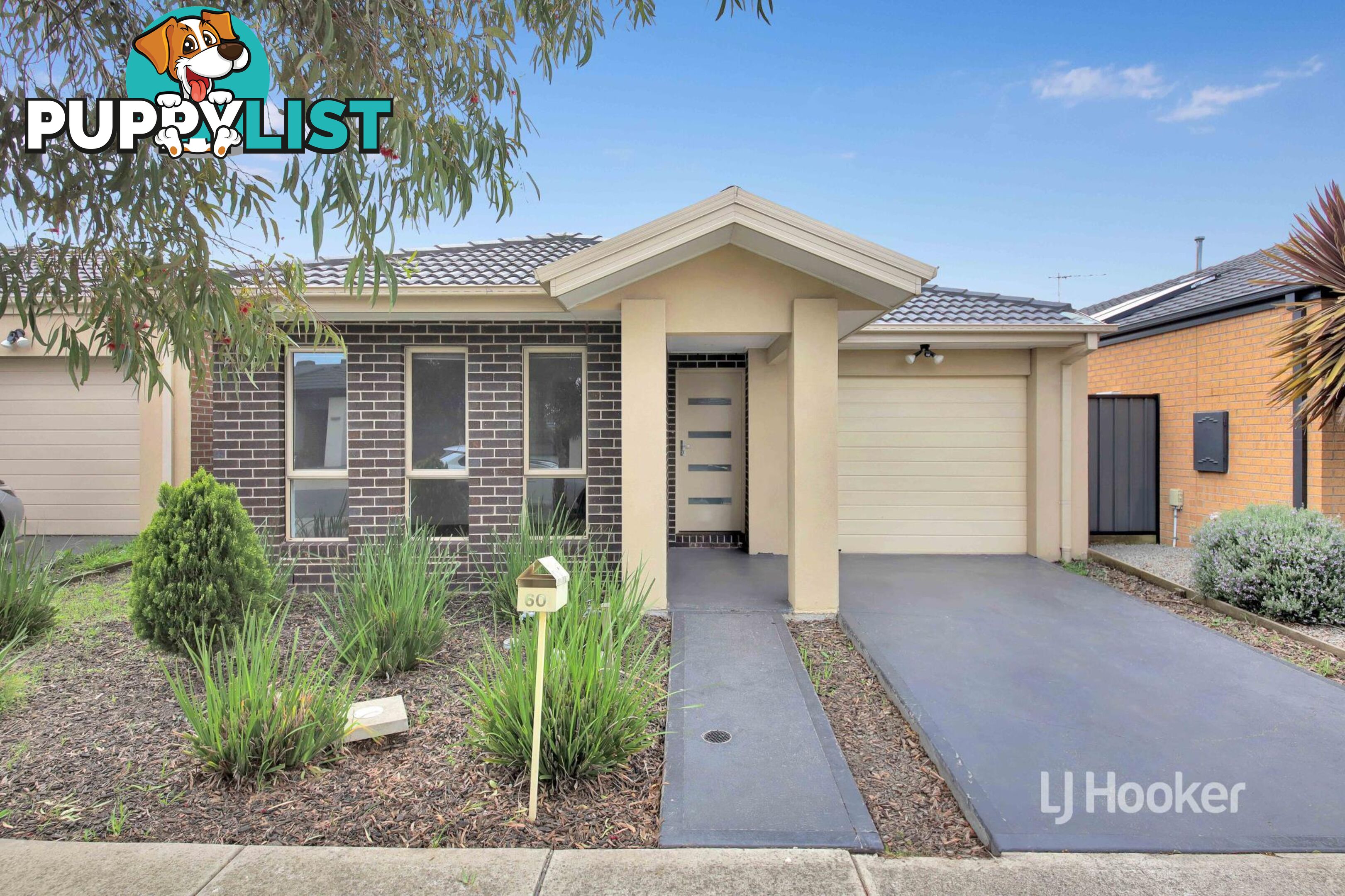 60 Bilby Street CRAIGIEBURN VIC 3064