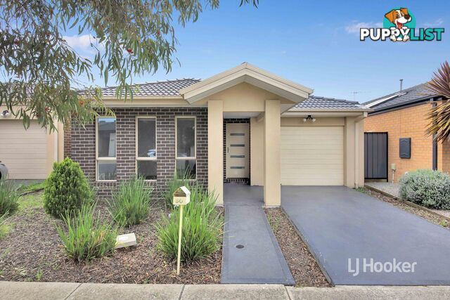 60 Bilby Street CRAIGIEBURN VIC 3064