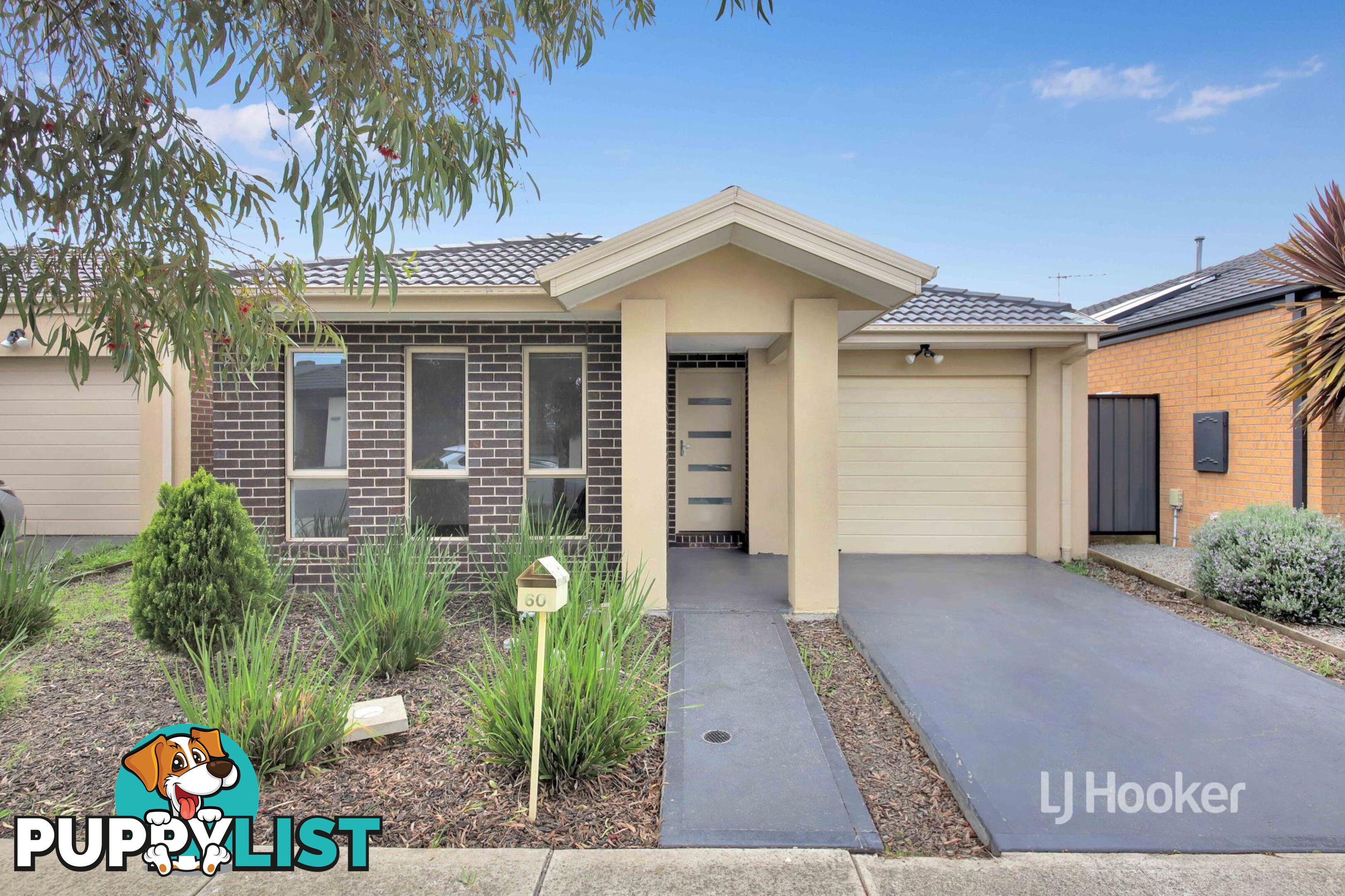 60 Bilby Street CRAIGIEBURN VIC 3064