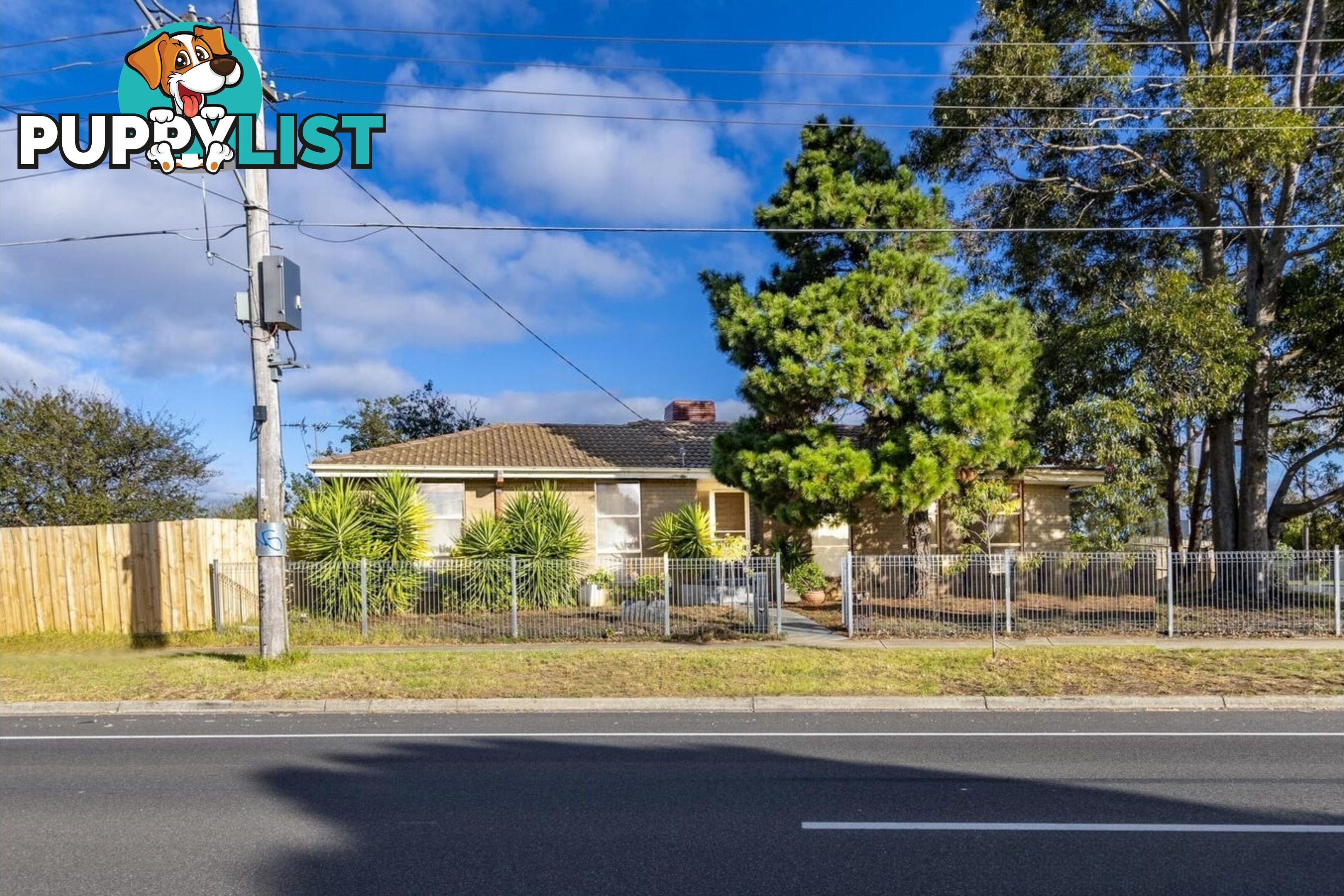 53 Sharland Road CORIO VIC 3214