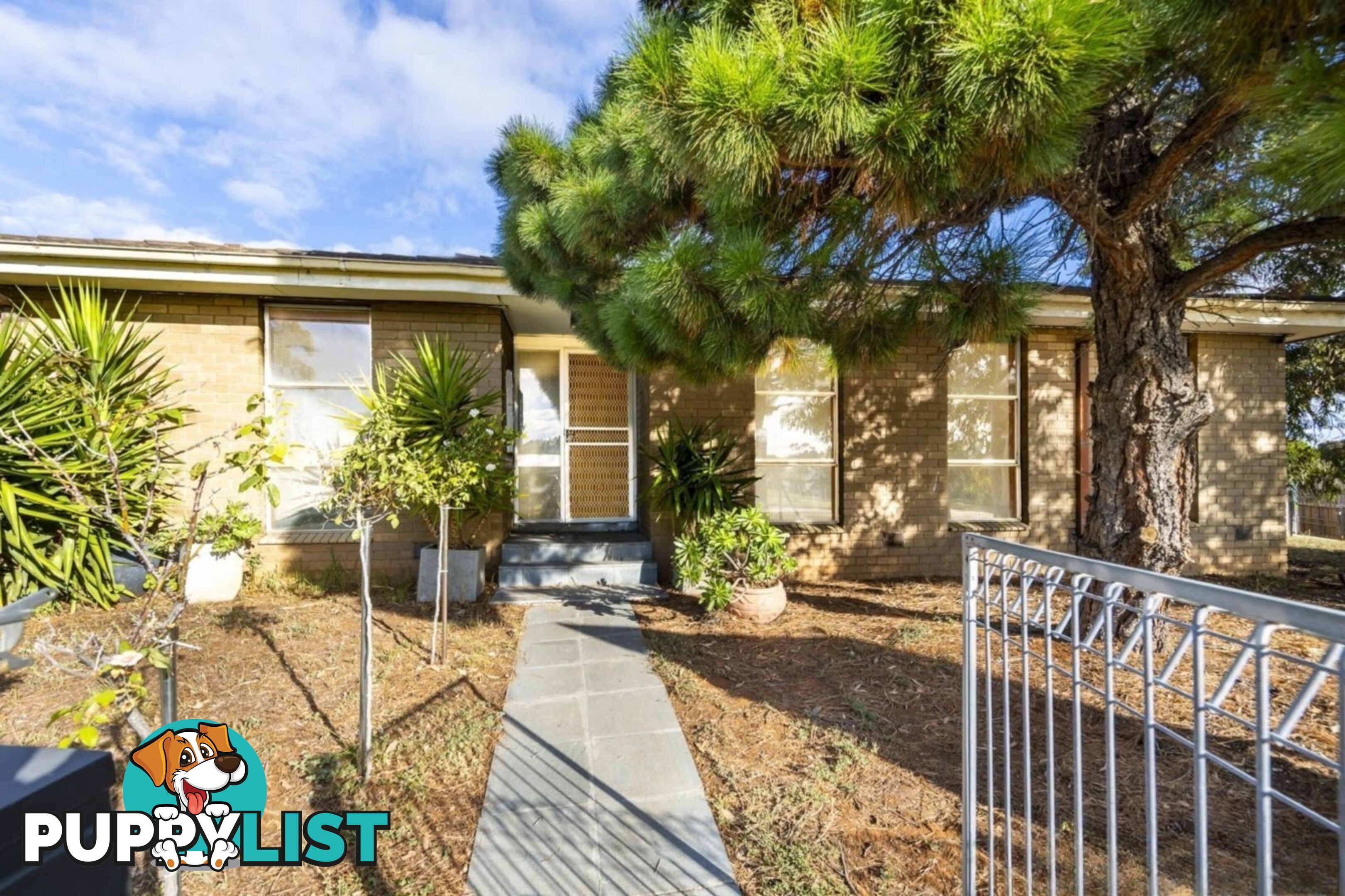 53 Sharland Road CORIO VIC 3214